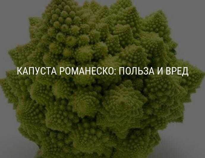 Капуста романеско: что в ней ценного, как вырастить такой гибрид цветной и брокколи, и почему эту культуру, еще именуемую романо (римской), называют фрактальной?