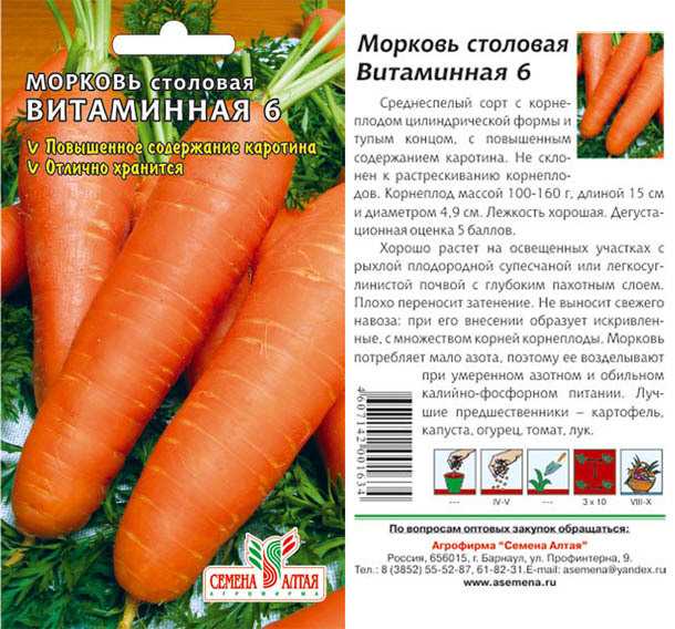 Лучшие сорта моркови на 2023 год: самые урожайные, вкусные, сочные, сладкие