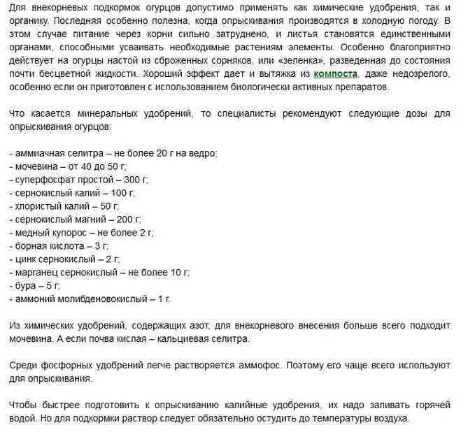 Борная кислота для огурцов: опрыскивание для завязей и урожая