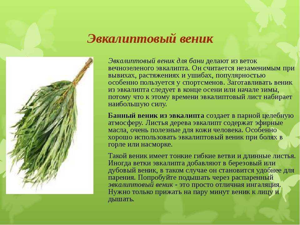 Из статьи вы узнаете о том, как связать банный веник, как хранить и сушить веники для бани, какое сырье нужно, чтобы самостоятельно связать веник для бани, какие бывают банные веники видео