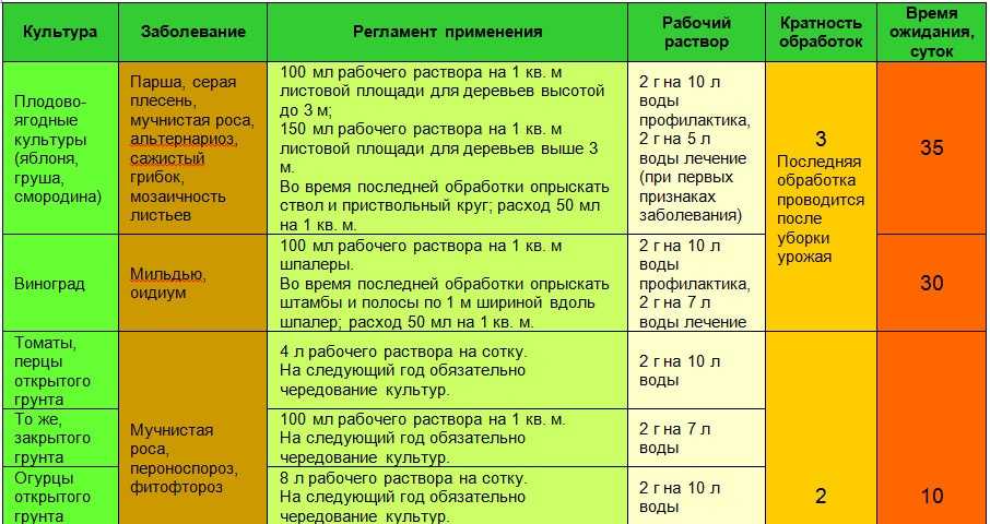 Хризантемы осенью: уход и подготовка к зимнему укрытию