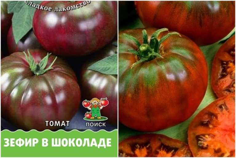 Томат шоколадное чудо: характеристика и описание сорта, фото, урожайность, выращивание и уход