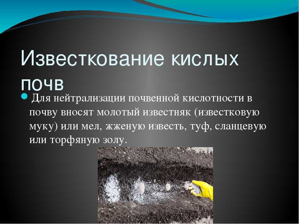 Известкование почвы: нормы, рекомендации по внесению извести