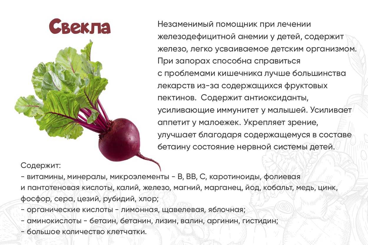 C какого возраста можно свеклу ребенку | уроки для мам
