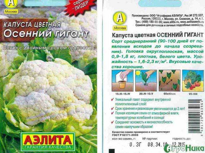 Лучшие сорта цветной капусты: самые урожайные для открытого грунта по отзывам, ранние, поздние, голландские, для подмосковья, сибири, урала