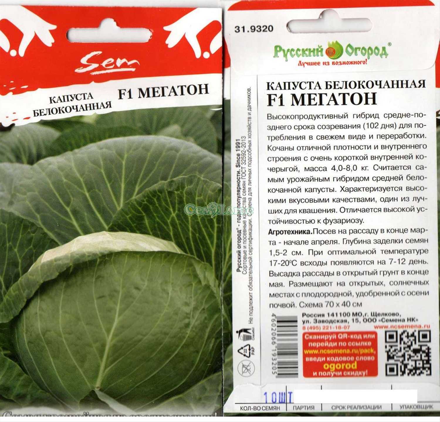 Рассада капусты – когда сажать и как вырастить в домашних условиях