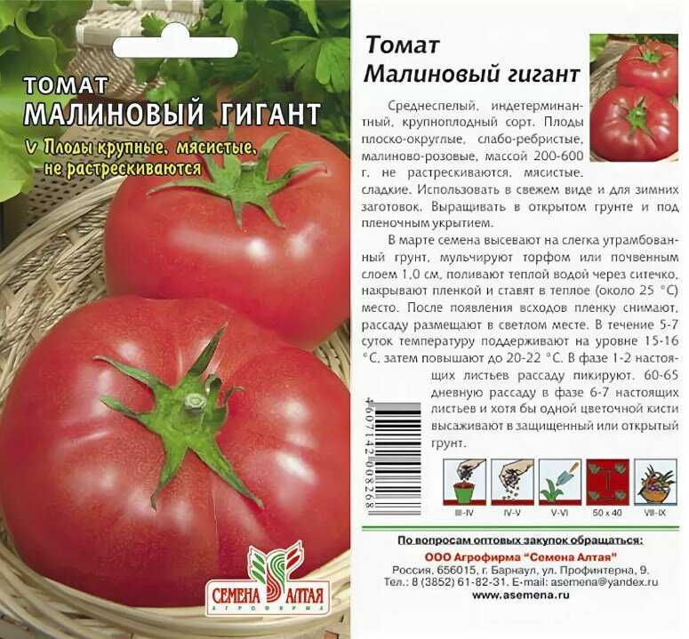 Томат «малиновый  гигант» -  описание сорта, фото, отзывы