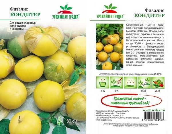 Особенности выращивания физалиса: когда сажать, посадка и уход фото