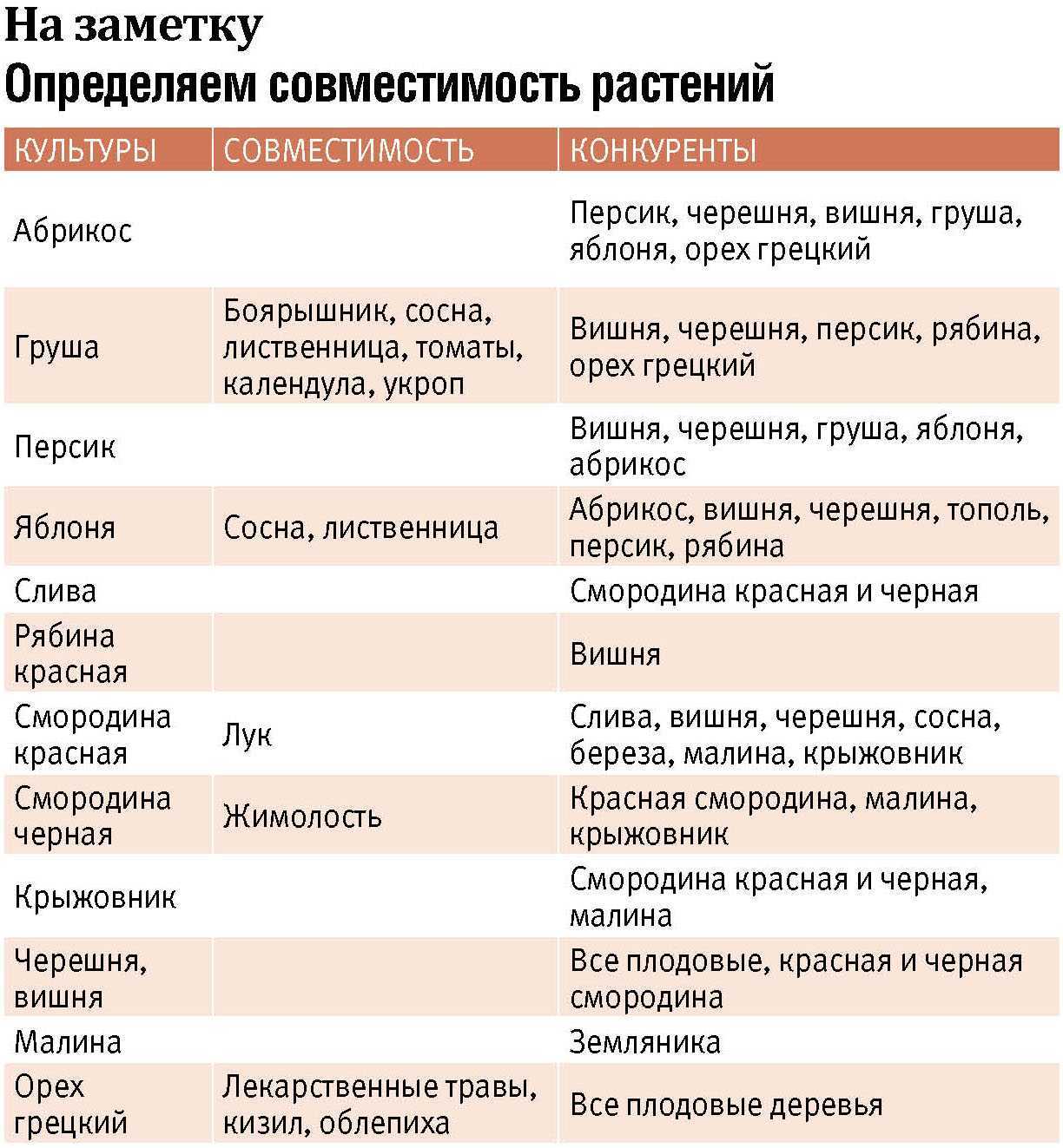 Совместимость растений в саду и огороде: таблица правильных посадок овощей и других культур