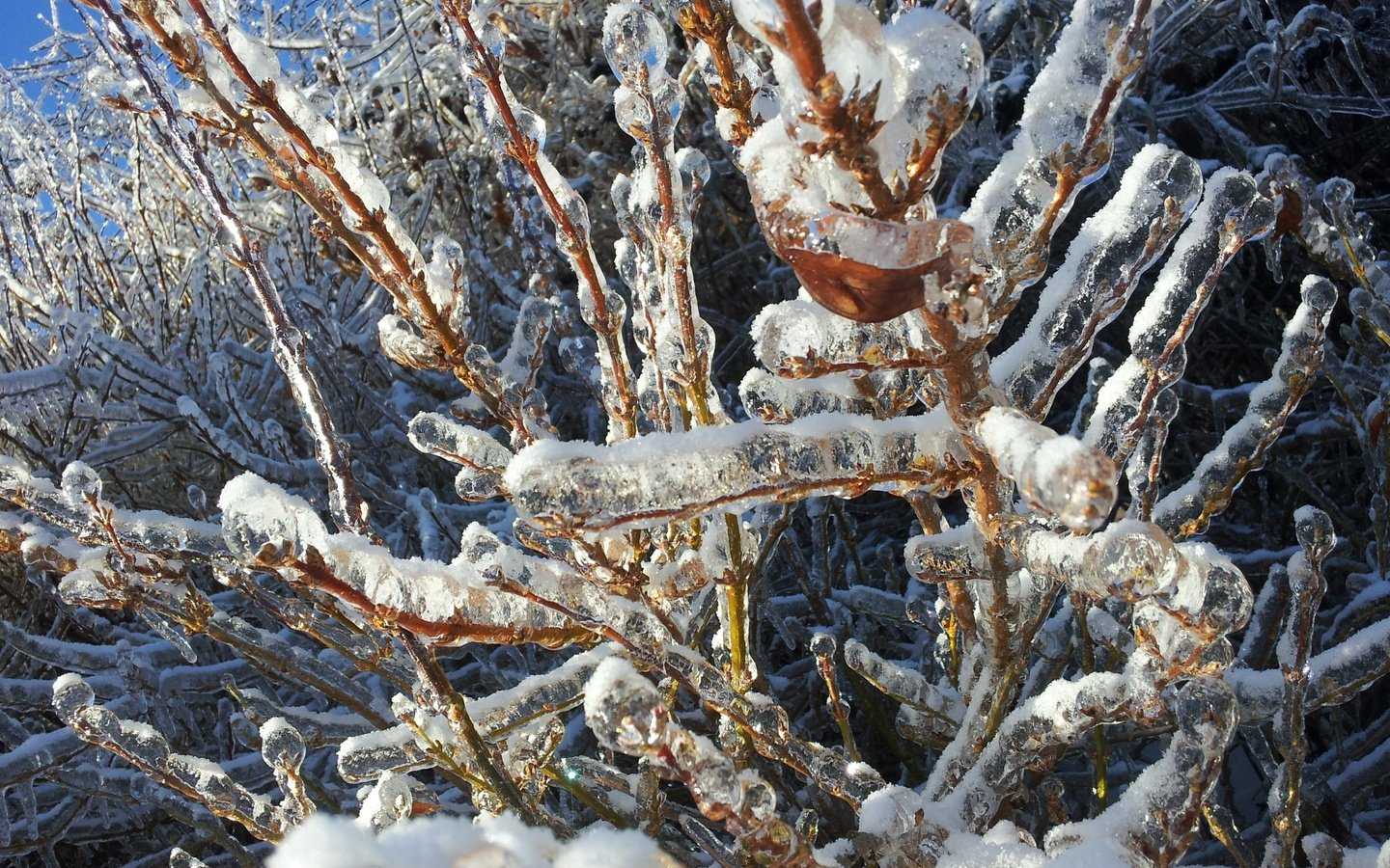 Что делать с опавшими листьями 