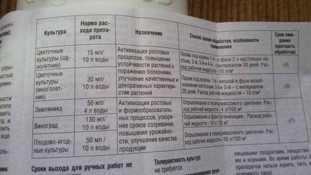Как применять янтарную кислоту для орхидей