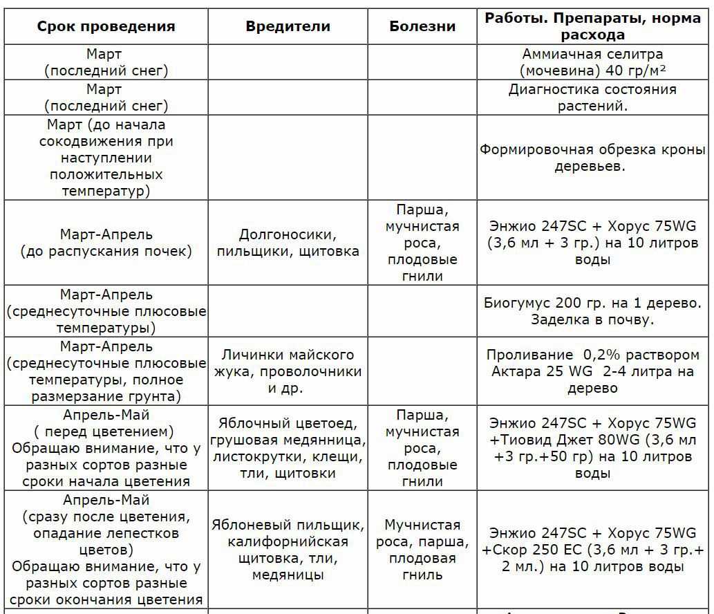 Чем обработать сад ранней весной: народные методы и химические средства