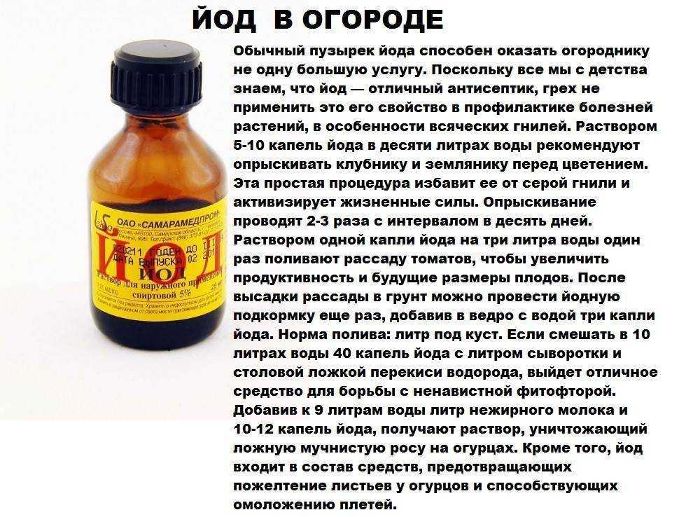 Йод, зеленка и марганцовка в решении огородных задач