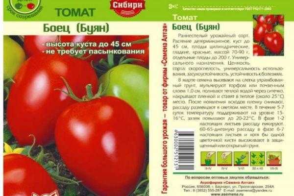 Томат боец или буян: характеристика и описание сорта