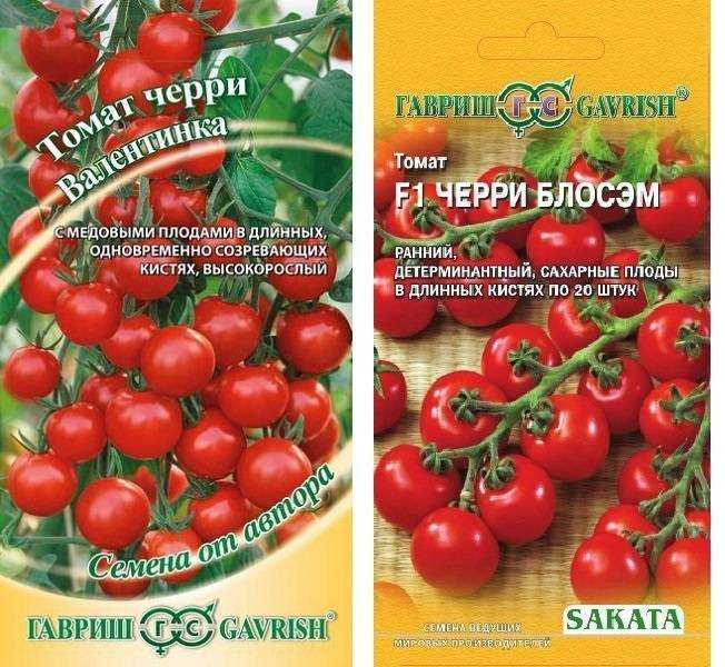 Лучшие ранние сорта томатов для россии и ее регионов
