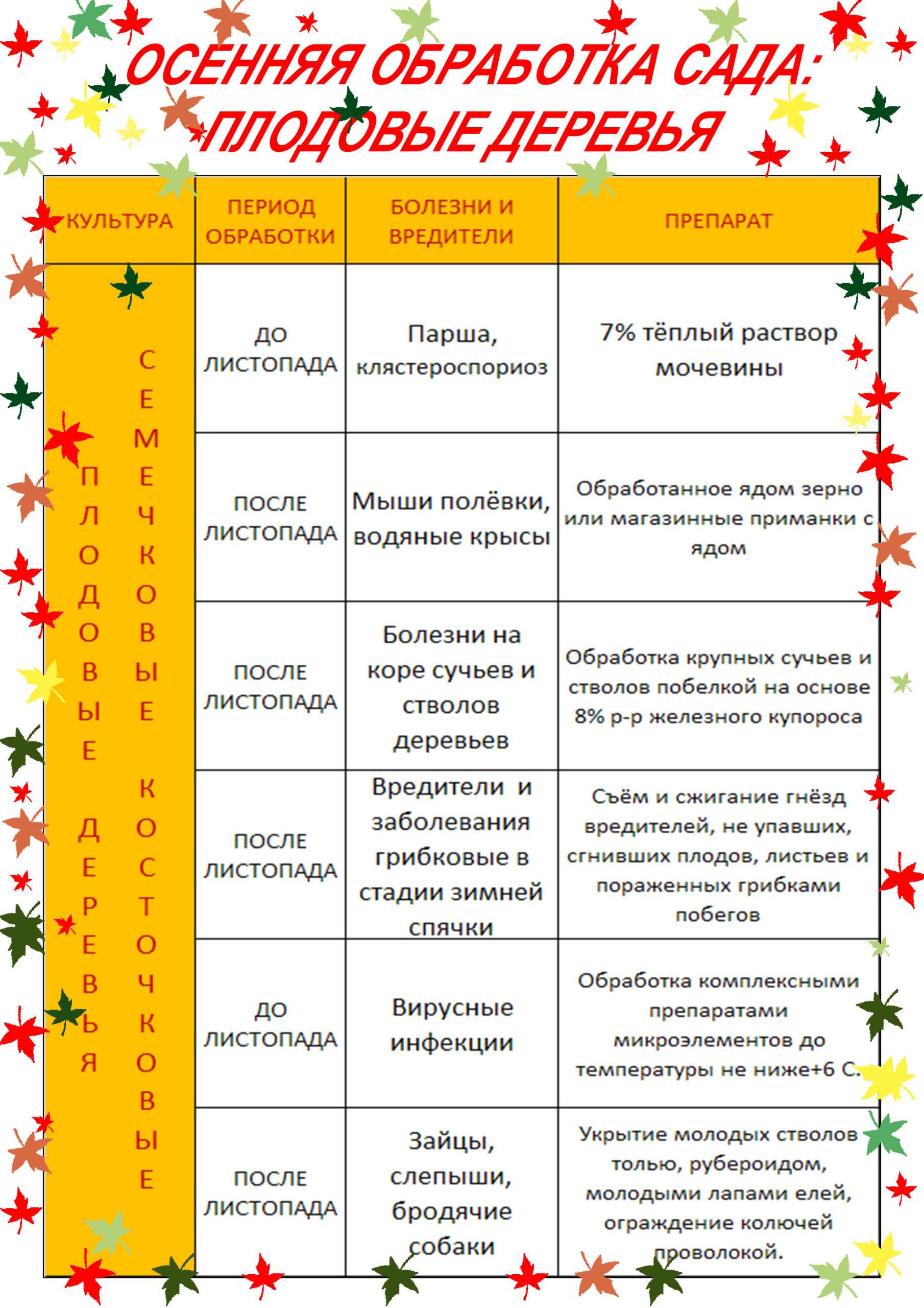 Весенняя обработка сада (пошаговый план работ+препараты)