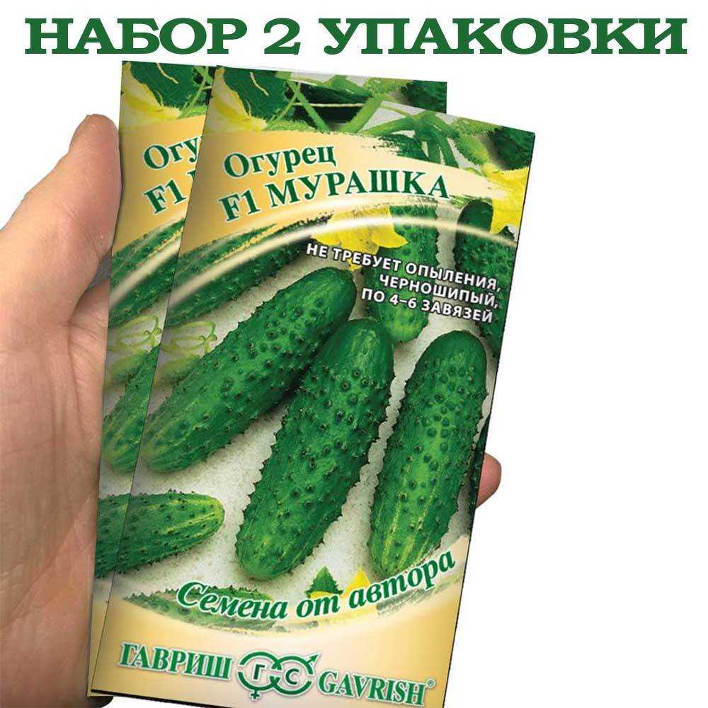 Огурцы мурашка: формирование плода, описание, уход