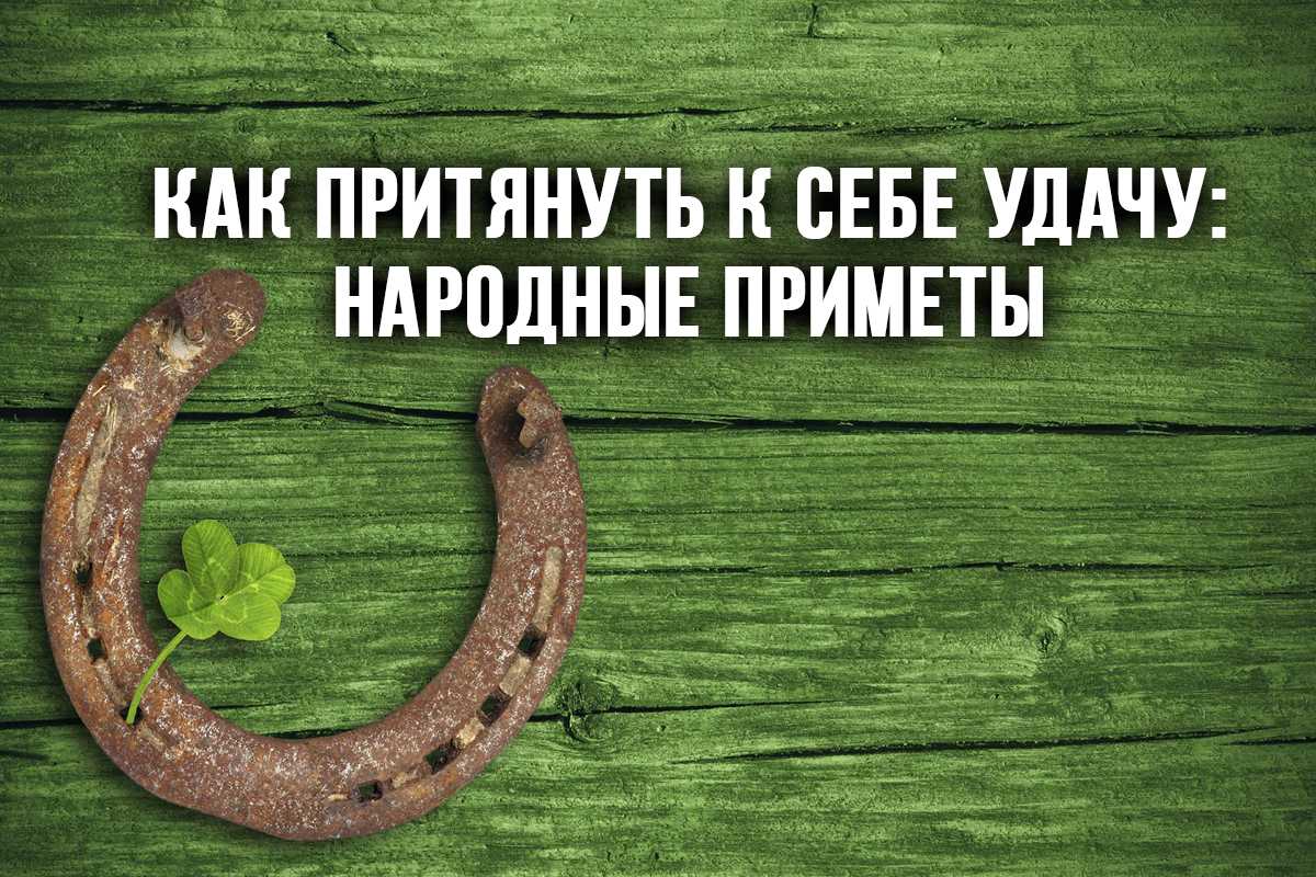 Можно ли выращивать кактусы в доме