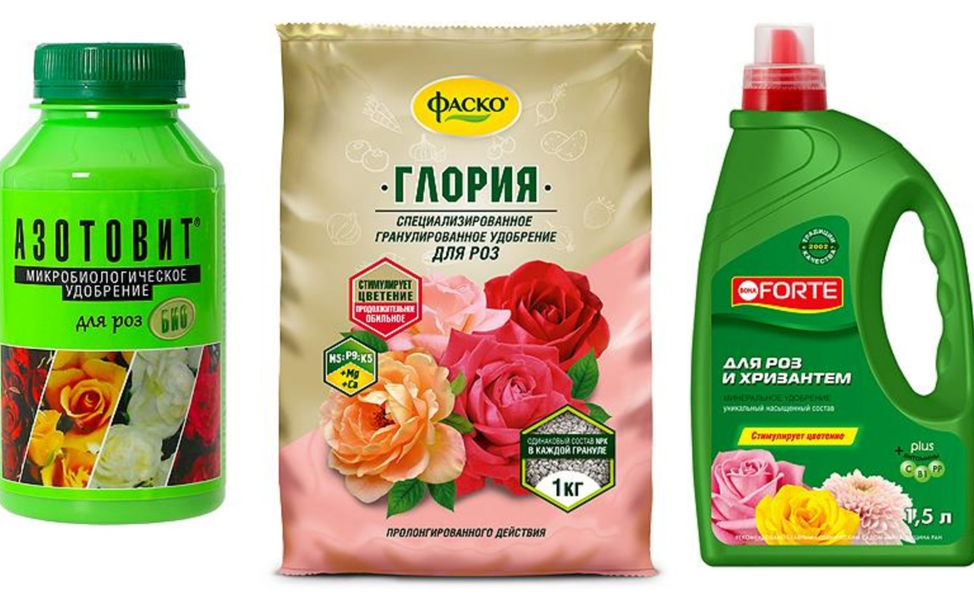 Тюльпаны ранней весной – полезные микроэлементы