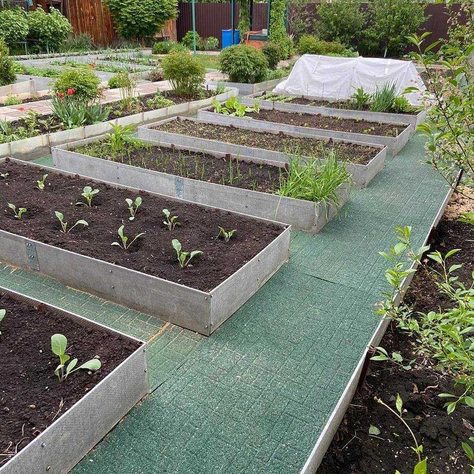 Выбираем дорожки между грядками и высаживаем газон.видео — ботаничка