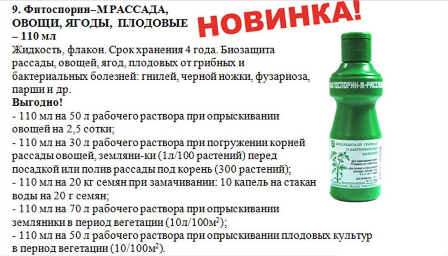 Способы подготовки семян к посеву в домашних условиях