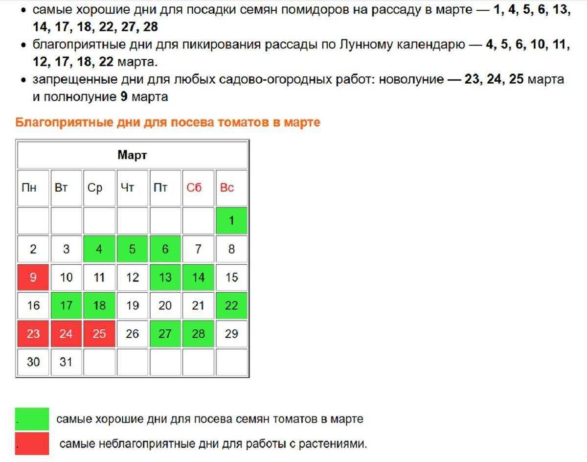 Когда и как пикировать рассаду помидоров, уход за пересаженной рассадой