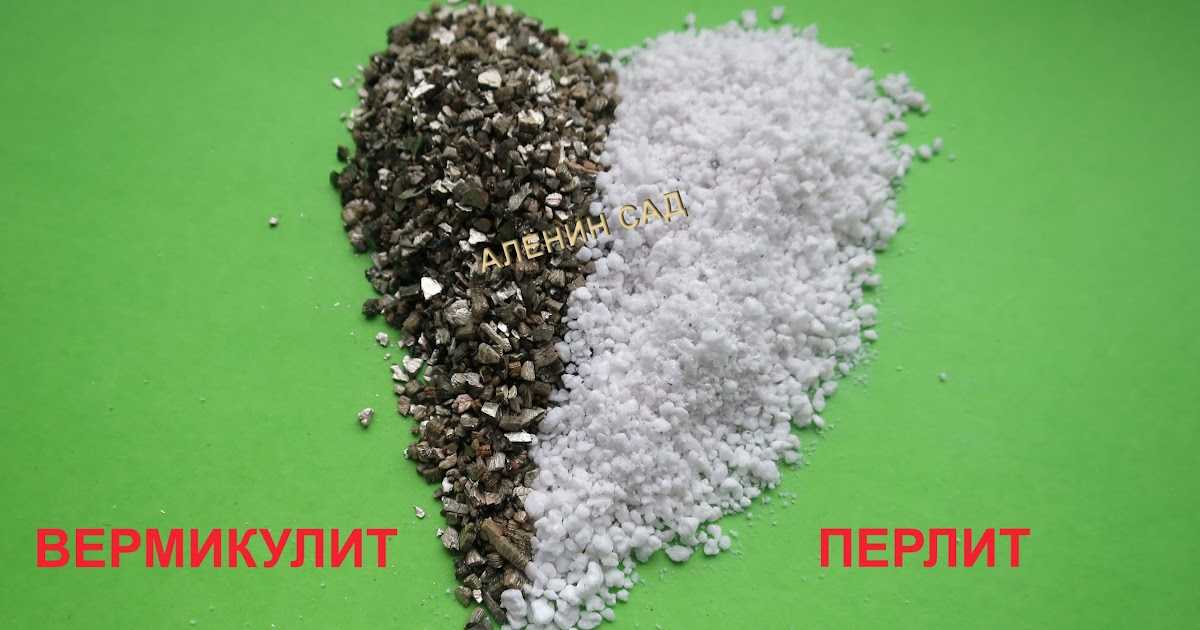 Вермикулит или перлит: что выбрать? - голос роз