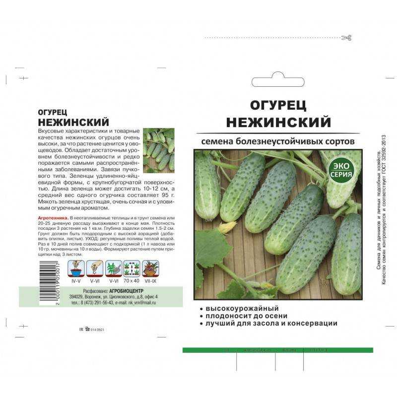 Всё о выращивании подсолнечника. сорта, гибриды, технология. посадка и уход. фото — ботаничка