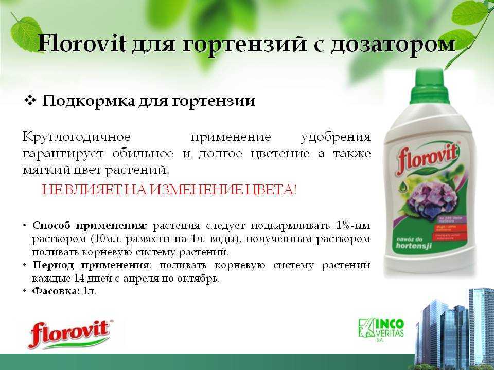 Чем подкормить герань для обильного цветения в домашних условиях и как часто поливать?