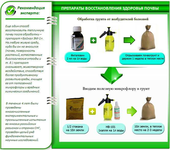 Обработка почвы от фитофторы осенью: чем обработать землю, как избавиться, вылечить после фитофторы, что делать если земля заражена фитофторой, народные средства | qlumba.com