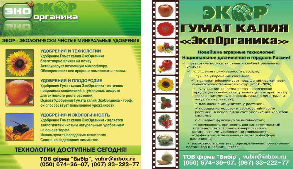 Почему помидоры жируют, дают много пустоцветов, опадают завязи: разбираем проблемы с урожаем