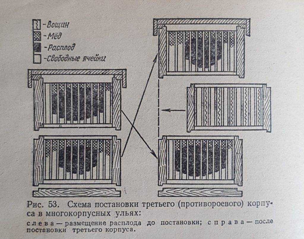 Двухматочное пчеловодство