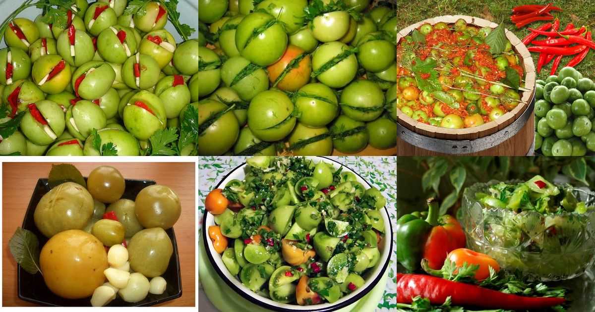 Из зеленых — в красные: как ускорить процесс созревания помидоров эффективными способами — фазенда