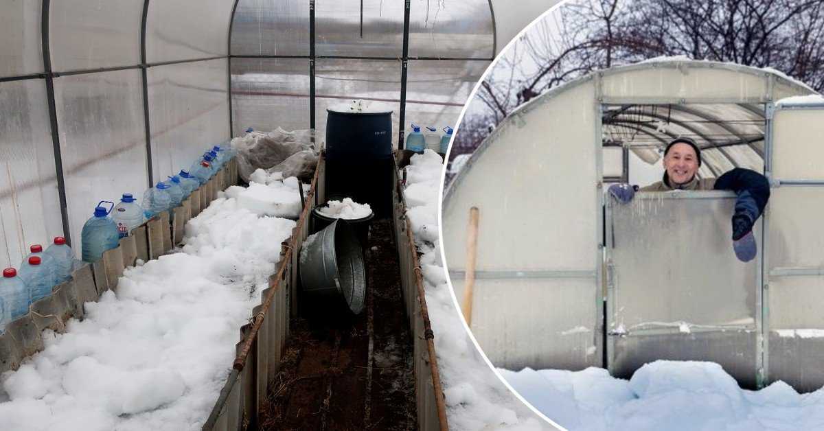 Снимаем снег с теплицы и накидываем его на грядки. видео — ботаничка