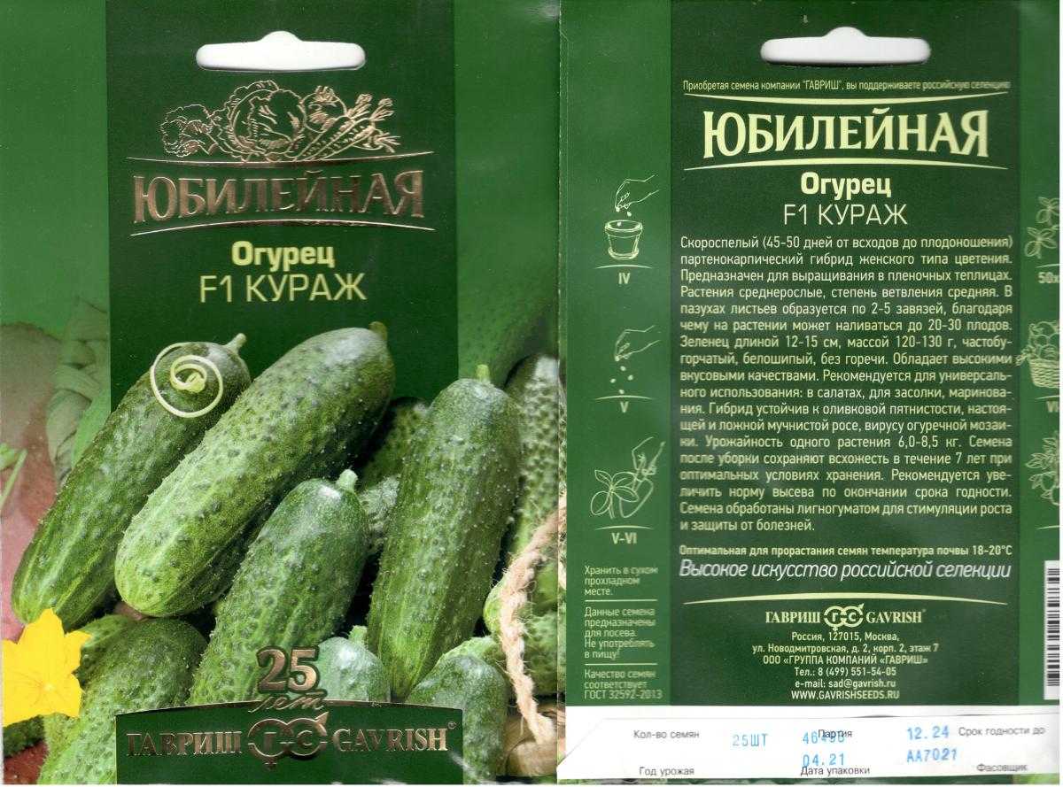 Огурец «кураж» f1 – отзывы, описание сорта (гибрида), фото растений и огурцов, выращивание в открытом грунте