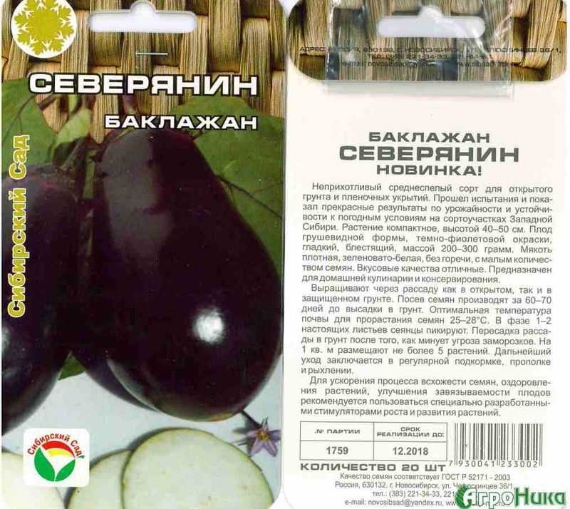 Лучшие сорта баклажанов
