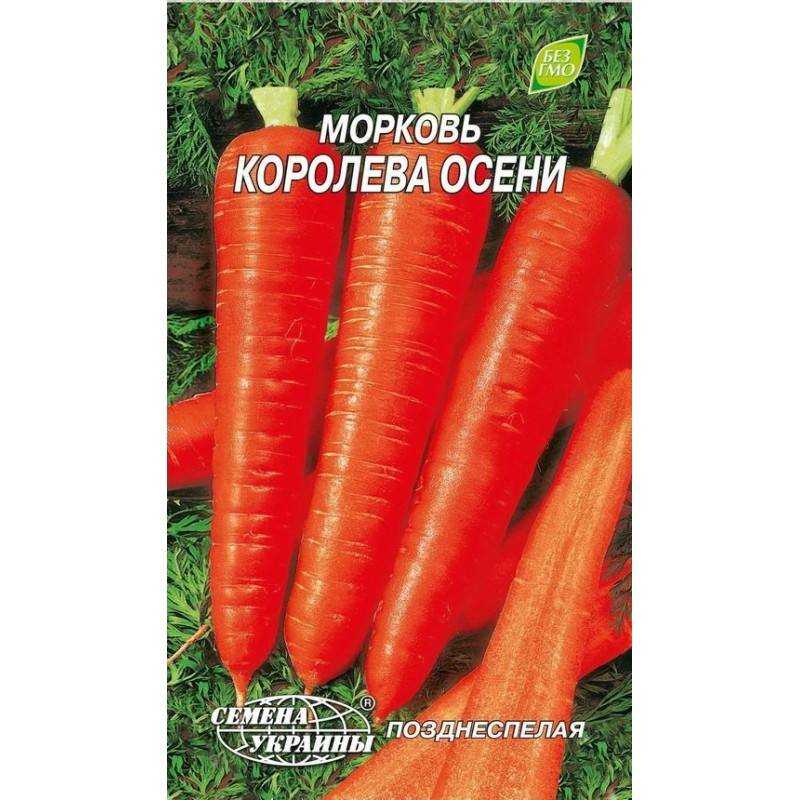 Морковь «королева осени»: отзывы, фото, урожайность, описание и характеристика сорта