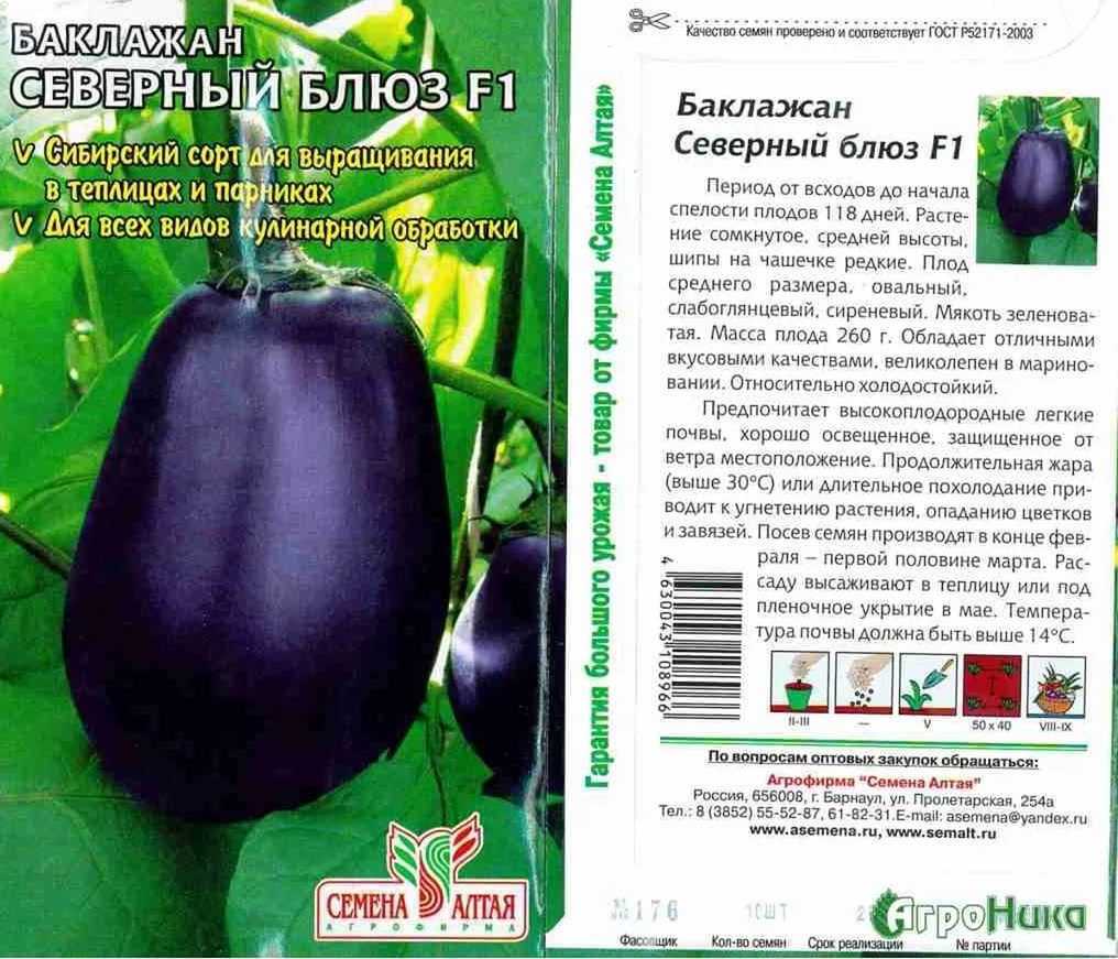 Особенности выращивания баклажанов на огородах россии