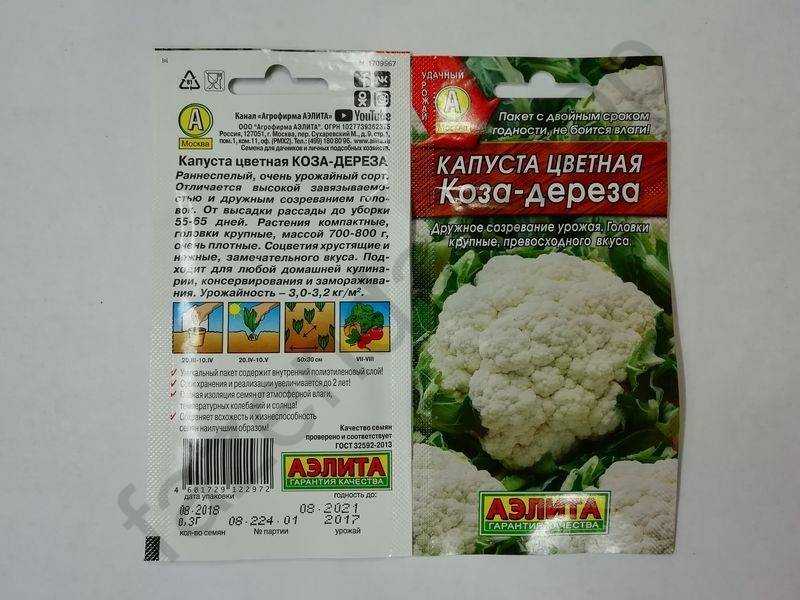 Лучшие ранние сорта цветной капусты для россии и ее регионов