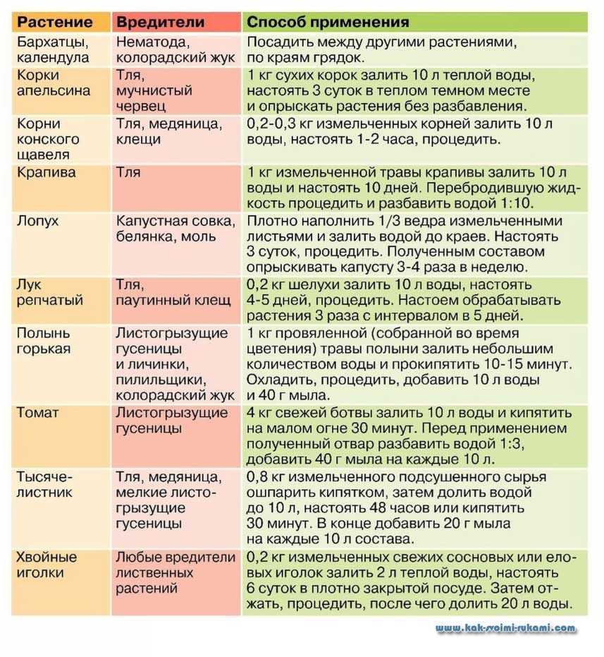 Осенняя обработка плодовых деревьев