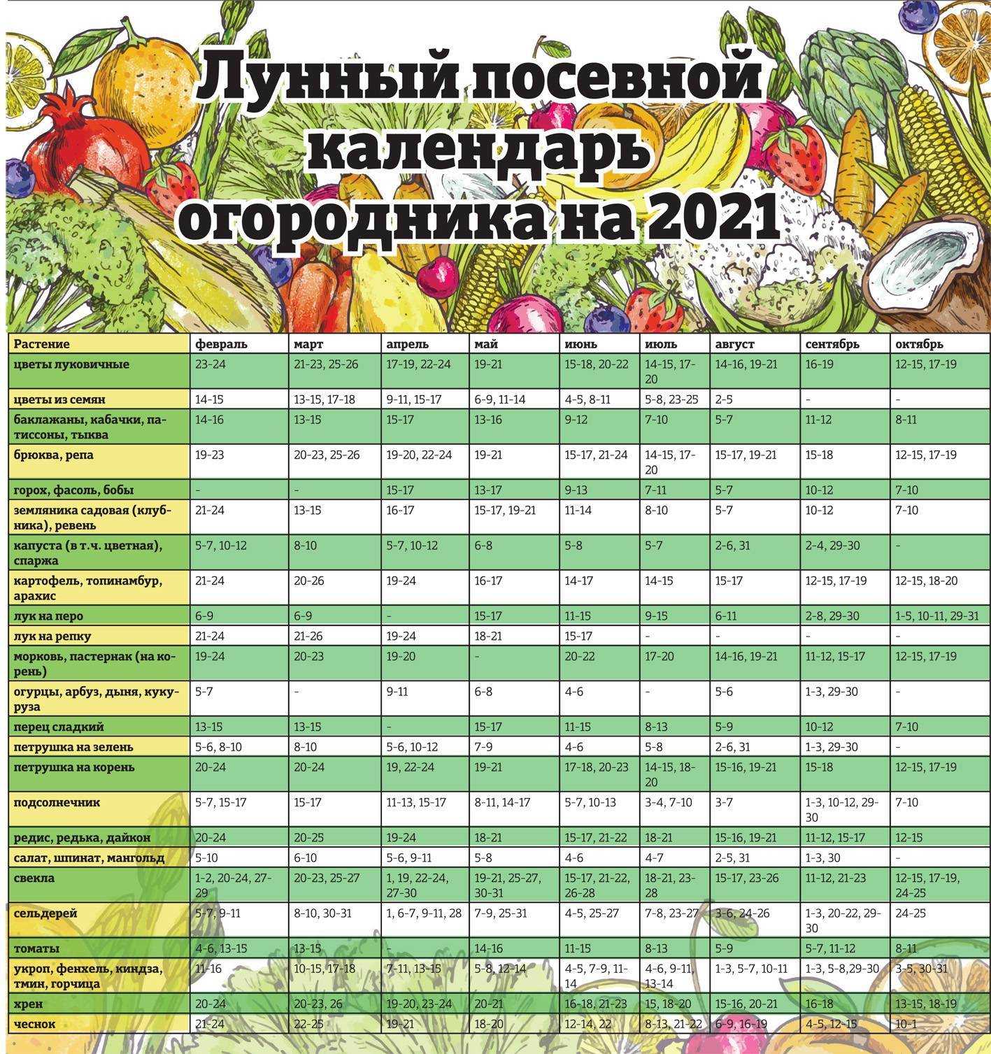 Репчатый лук — правильно собираем урожай и готовим к хранению