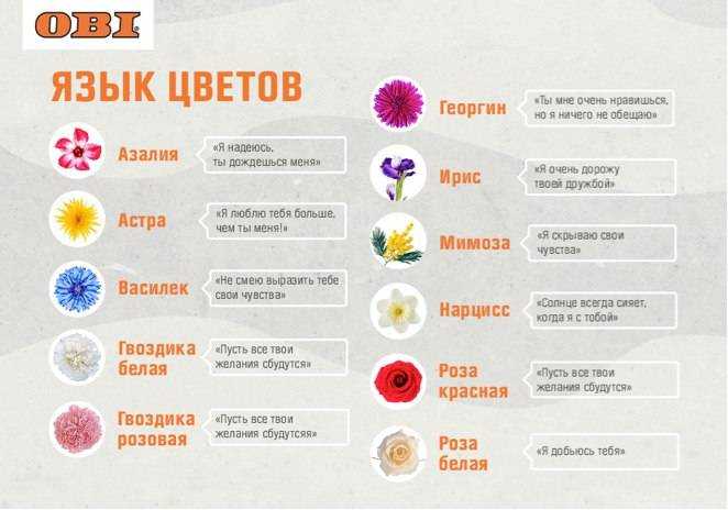 Букет из красных роз: значение такого презента - автор ирина колосова - журнал женское мнение