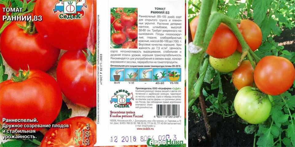 Томат ранний 83: характеристика и описание сорта, урожайность