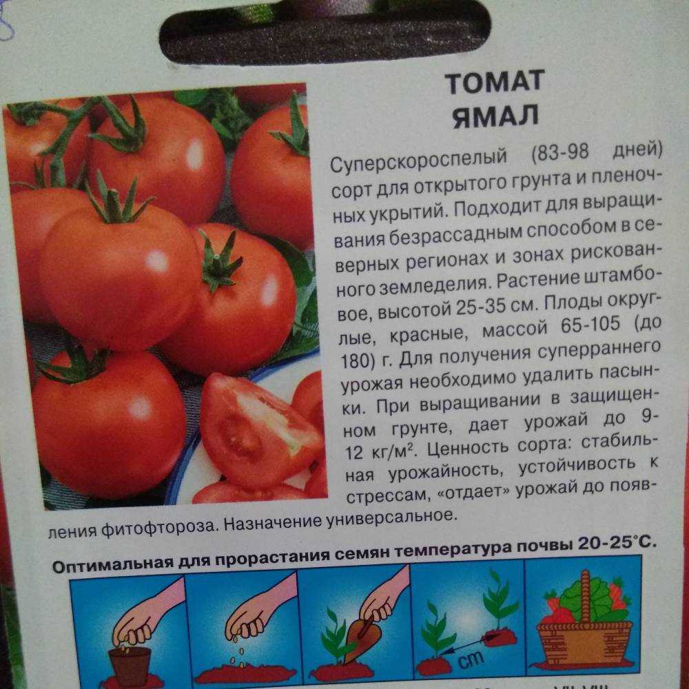 Штамбовый томат «ямал»: описание сорта, особенности агротехники, отзывы