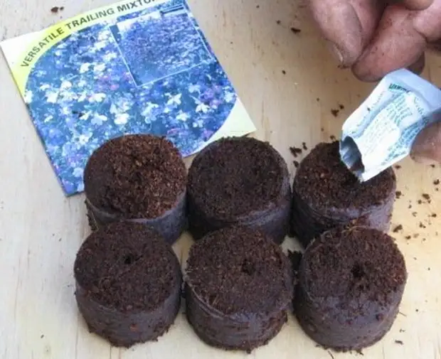 Кокосовый субстрат для рассады: как выращивать саженцы помидор и других овощей в экстракте брикетов из кокоса, особенности применения смеси из торфа