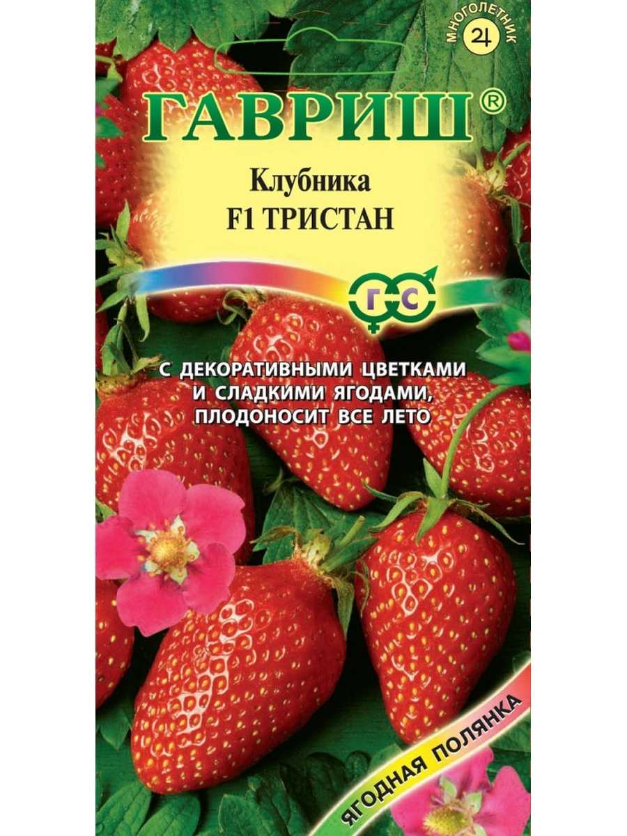 Земляника александрина ремонтантнац безусая фото с описанием видео
