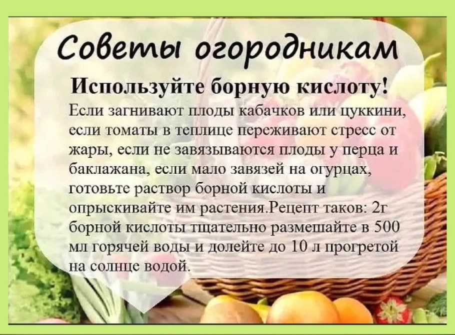 32 главных вида работы что делать в сентябре в огороде, саду и цветнике в 2023 году на даче