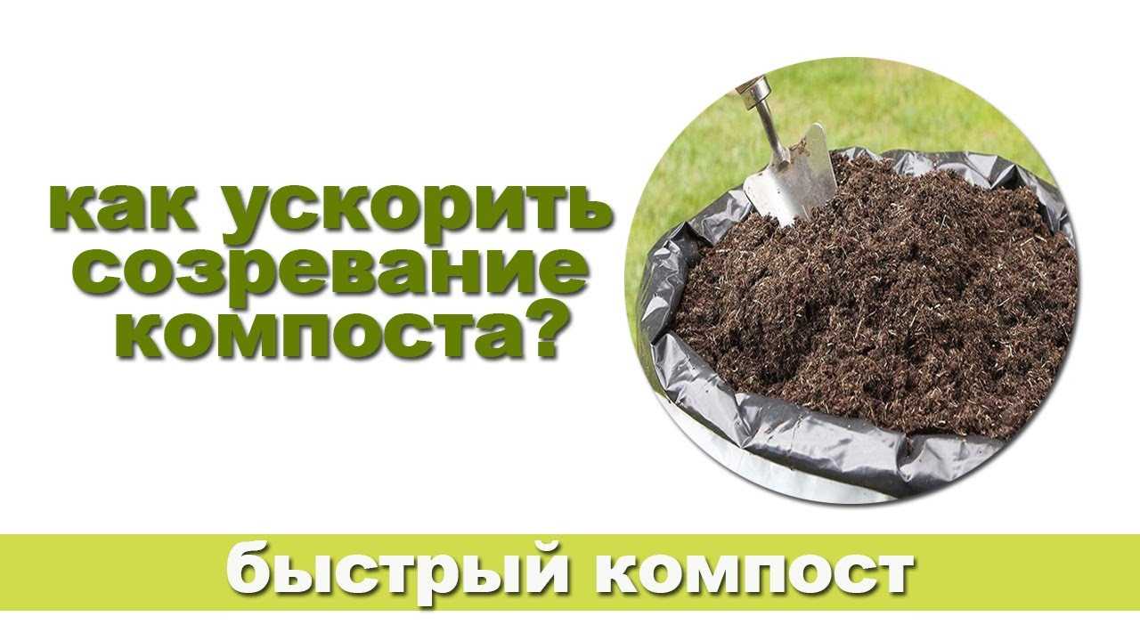 Ускоритель компоста для органики: бактерии, дождевые черви, дрожжи