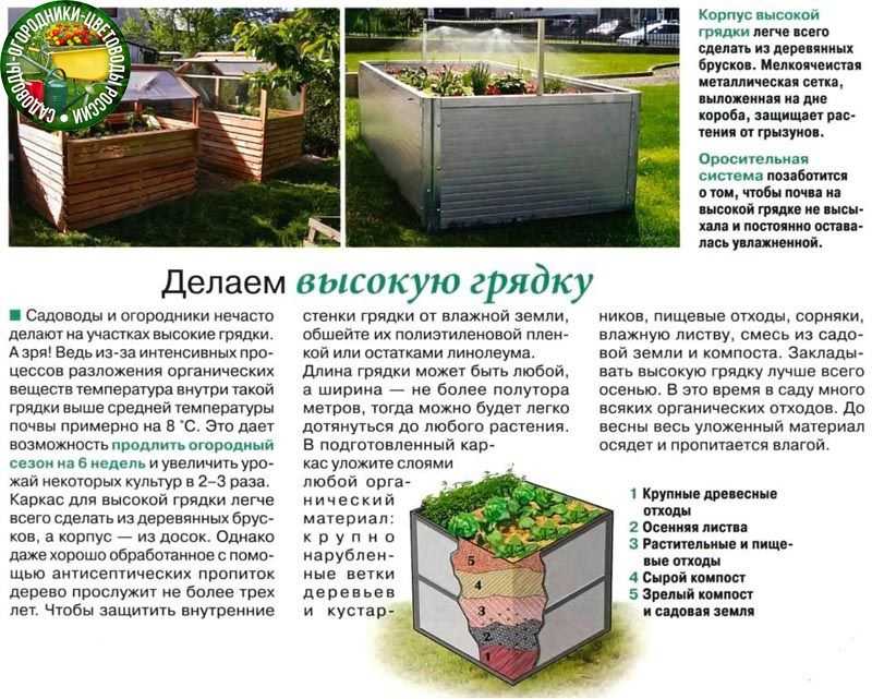 Что такое высокие грядки Из чего и как сделать самостоятельно высокую грядку Наполнение грядки