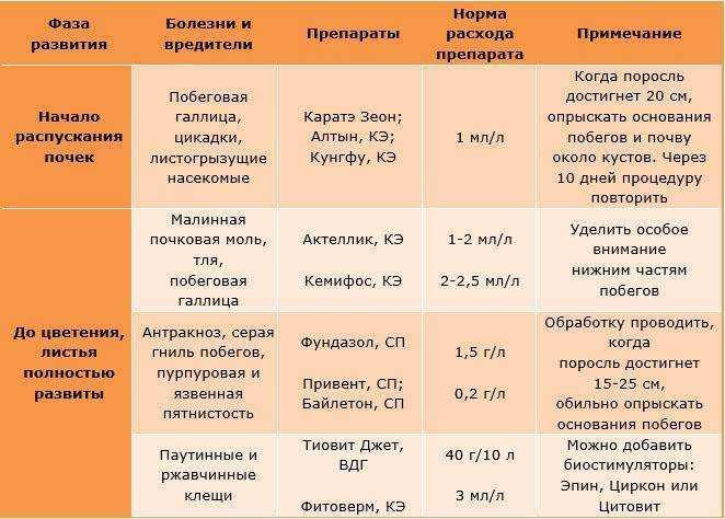 Чем подкормить малину осенью для следующего урожай: какими удобрениями